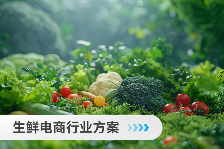 生鲜电商行业方案